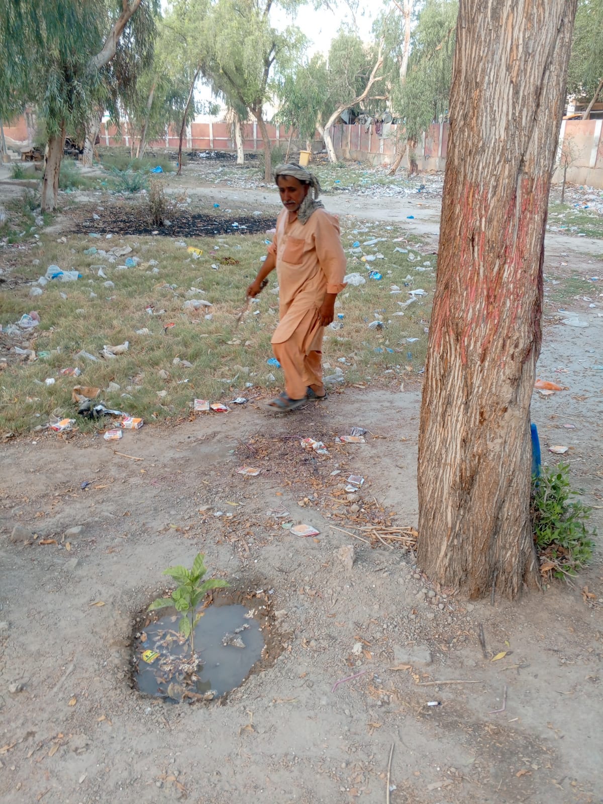 Director and hospital community work